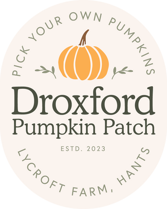 Droxford Pumpkin Patch 2025
